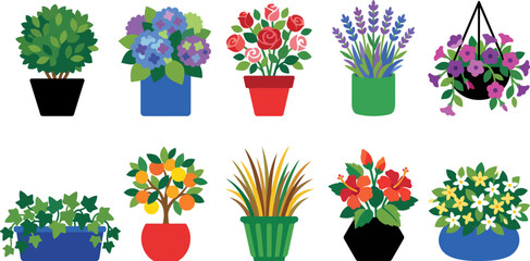 Collection of colorful cartoon plants and flowers in pots and planters on white background © VectoLover
