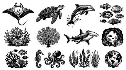 Fototapeta premium Vintage Marine Life Black and White Line Art Set: Ocean Animals, Corals Seaweed Illustrations