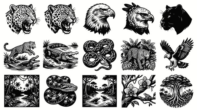 Detailed Black  White Line Art Vector Set: Jungle Wildlife Animals  Tropical Nature Illustrations