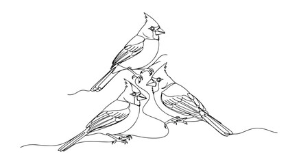 Obraz premium Continuous Simple black line art drawing set of Blue jay bird in a minimalist style on a white background.