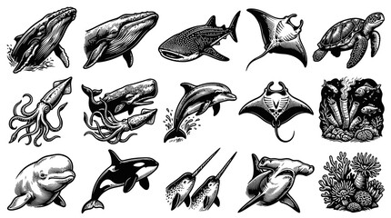 Obraz premium Ocean Marine Life Black and White Engraving Set: Whales, Sharks, Rays, Dolphin, Turtle, Squids, Reef Animals
