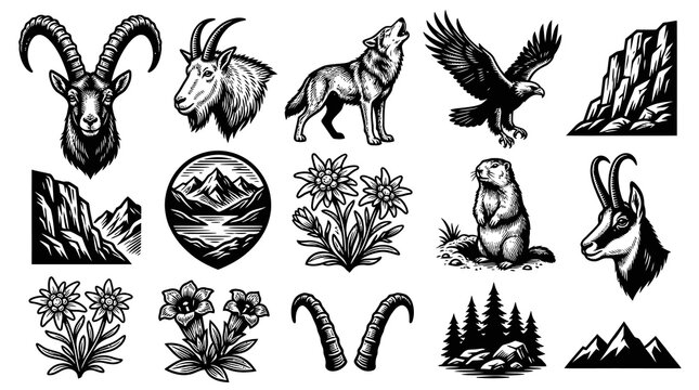 Alpine Wildlife and Mountain Nature Engraving Icons Set. Hand-drawn Black and White Line Art Illustrations.