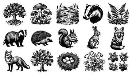 Obraz premium Black White Line Art Forest Animals and Nature Elements Vector Set