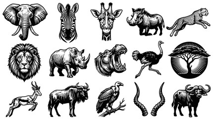Obraz premium African Safari Animals Vector Icons Black and White Line Art