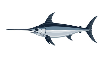 Fototapeta premium Large Blue Marlin Fish Swimming Horizontally.