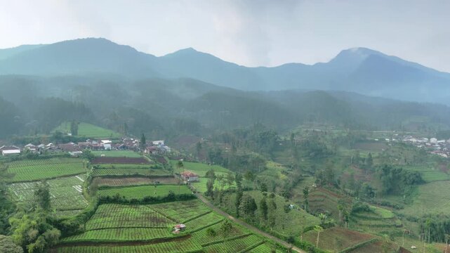 Aerial view of lush green terraced fields and rural villages nestled against misty mountains in Pekalongan, Central Java, Indonesia.