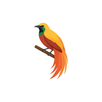 Cenderawasih Bird Flat Illustration