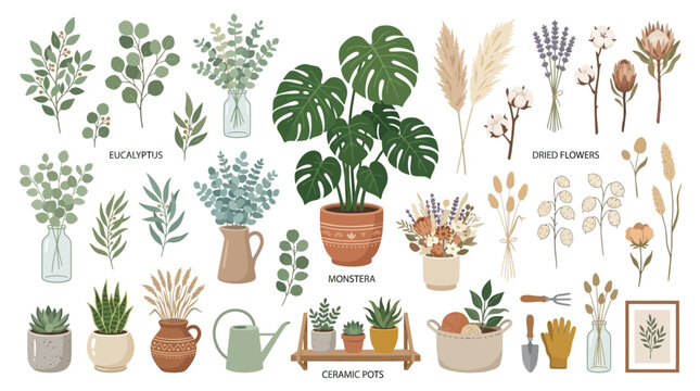 A serene indoor garden scene featuring various plants, pots, and a watering can on a shelf with a framed picture.