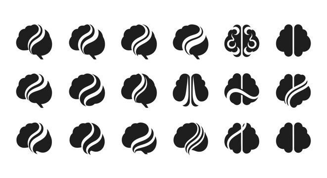 Brain anatomy human organ illustrations.