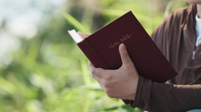 Close-up of a person holding the Holy Bible for daily bible study in a peaceful green park.
