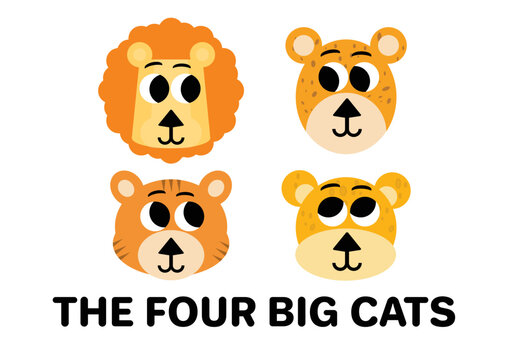The four big cats - lion, tiger, jaguar and leopard.  Vector illustration on a white background. 