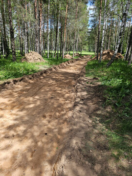 Pathway construction takes place in a forest area during a sunny day near sandy ground