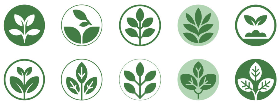 Collection of green and white circular plant with various leaf patterns plants leaves