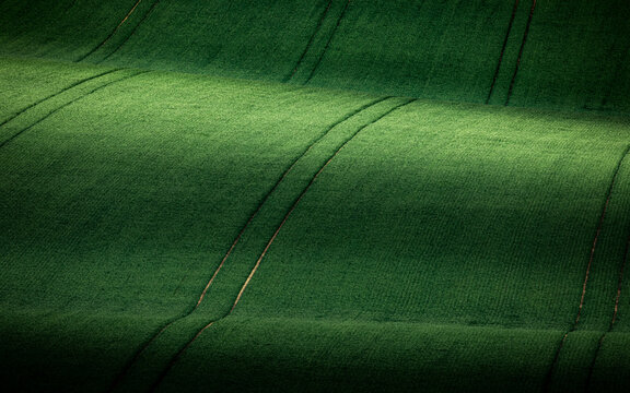 View of rolling green hills with tractor tracks in the agricultural fields of Sardice, South Moravian Region, Czechia.