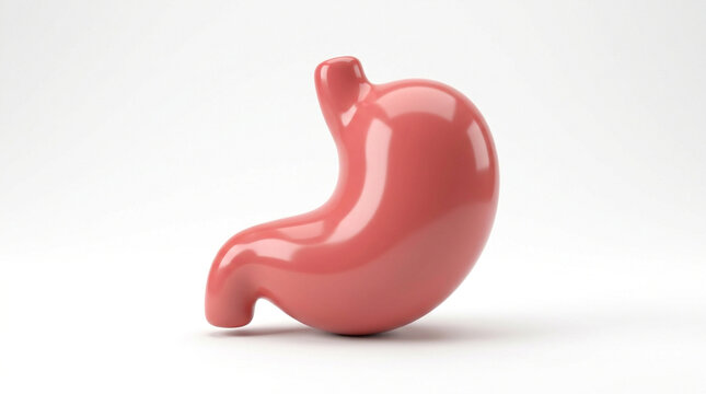 Standalone internal organ asset modeling a simplified non functional toy stomach for web interfaces