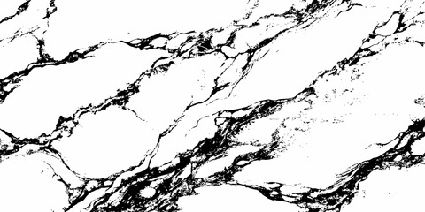 Fototapeta premium Premium White Marble Texture with Dramatic Black Veins and Luxury Natural Stone Background.