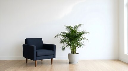Fototapeta premium Minimalist interior with navy armchair and areca palm plant