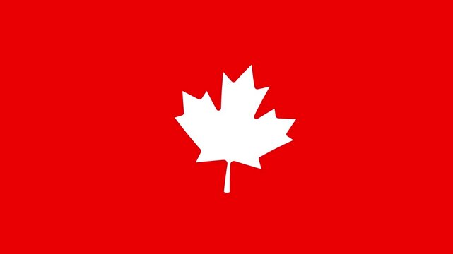 Animated Canadian maple leaf swaying gently in the wind on chroma key green screen background, 4k loopable motion graphic of Canada national symbol.