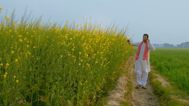 A happy Indian farmer talking on mobile while walking through his green farm. Village scene of a smiling young villager roaming in the field of mustard (Sarso) while wearing white kurta-pajama