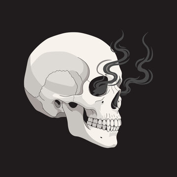 Minimalist human skull vector illustration with ethereal smoke rising from eye socket
