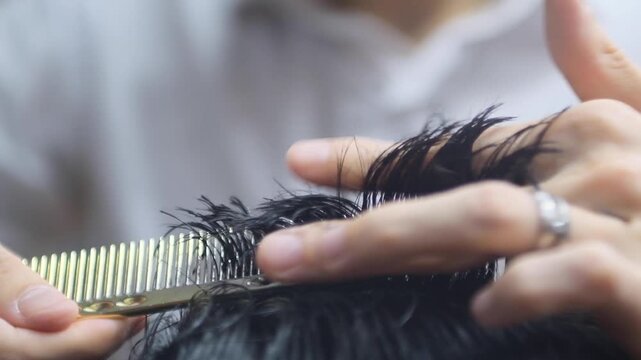 Close up of scissor work during haircut، Barber using comb and scissors together، Salon expert cutting dry hair for precision، Hair expert cutting a modern crop، Hair expert cutting a casual male