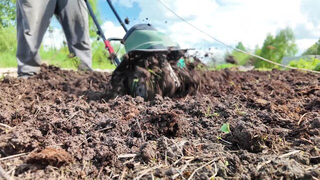 Dynamic ground-level view of loose garden soil being cultivated by a compact rotary tiller. Rotating blades break apart earth and throw soil clumps into the air as the machine moves across the garden