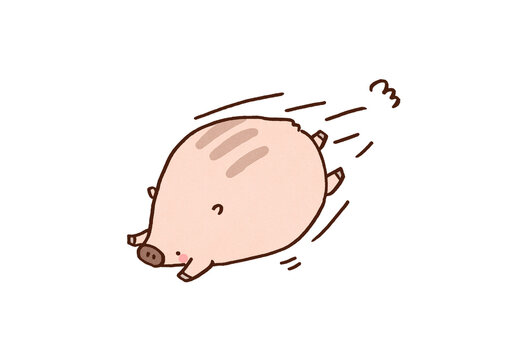 Baby boar rushing forward recklessly with great speed, reckless dash or striving for a goal concept
