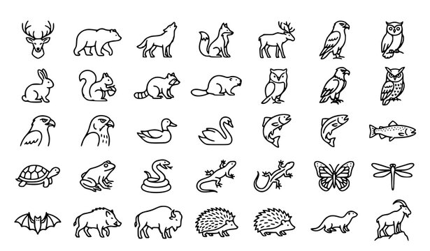 Wildlife Line Icons Set with Forest Animals Birds Reptiles and Nature Species Vector Pack