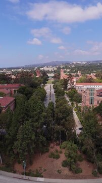 University of California, Los Angeles campus buildings showing Powell library and Royce Hall, city landscape, tree lined avenue in vertical