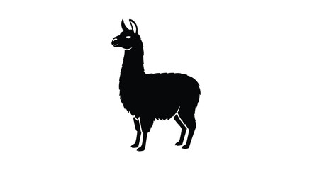 Llama silhouette against a white background silhouette © bridal creation