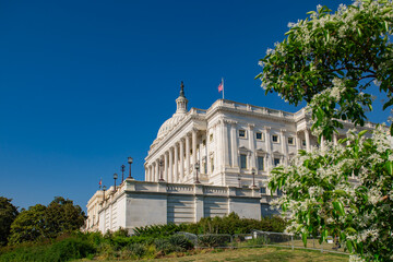 Obraz premium Capitol dome above white facade. American Capitol near US flag. Capitol building stands in Washington. Famous Capitol landmark under sky.