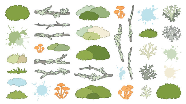 Vector landscape collage of forest foliage leaves and river elements.