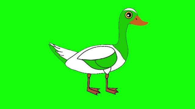 Cute Goose Standing Idle Animation Loop Cartoon Bird Character Green Screen