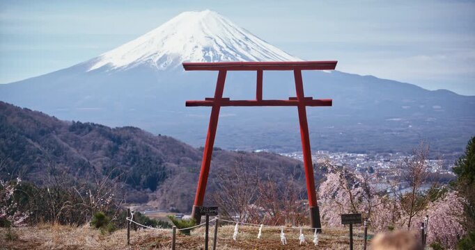 Lone child walking towards old torii gate on hill with view of beautiful Mt. Fuji - slow motion steady cam shot