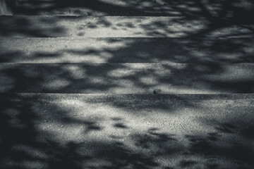 Fototapeta premium Abstract background of dark tree leaves silhouette shadows falling on outdoor concrete stairs in monochrome.