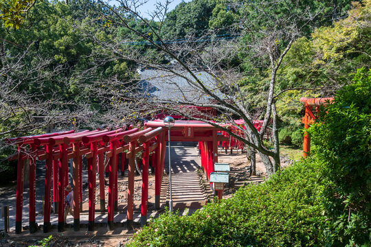 woman through shinto red torii gates of Okunomiya Inari shrine, Fukutsu