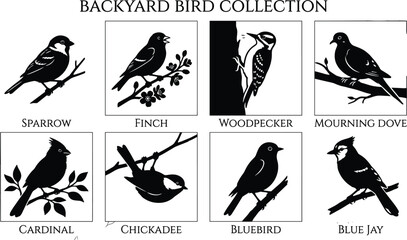 Backyard Bird Silhouette Collection Featuring Sparrow Finch Woodpecker Cardinal Bluebird Chickadee and Blue Jay © MDSHAHIDUL