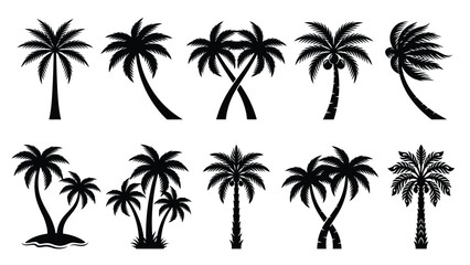 Obraz premium Set of black and white palm tree silhouettes on transparent background.