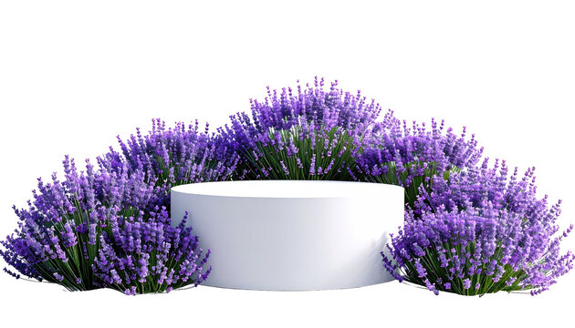 A white cylindrical platform is surrounded by vibrant purple lavender plants, set against a stark black background