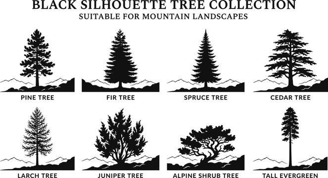 Mountain Landscape Tree Silhouette Vector Collection Featuring Pine Fir Spruce Cedar and Juniper Trees