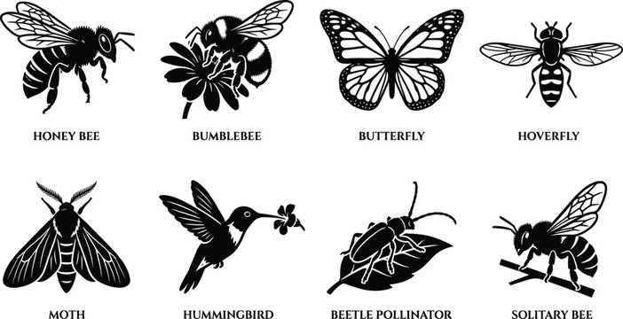Pollinator Insect Silhouette Collection Featuring Bees Butterfly Moth Hoverfly Beetle and Hummingbird Vector Set