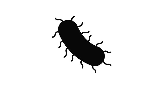 Black silhouette of a worm with bristles isolated on white background silhouette