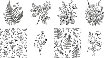 Fototapeta premium Detailed black and white botanical line art illustrations of flowers, leaves, ferns, and decorative floral arrangements for design use