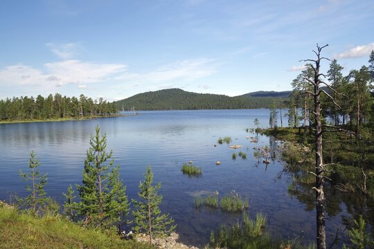 Lonely lake with rocks and pines, summer, Ivalo, Lapland, Finland