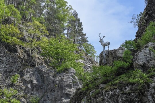 Deer monument at Hirschsprung in the H&ouml;llental, near Breitnau, Black Forest, Baden-W&uuml;rttemberg, Germany