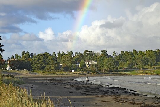 Beach landscape with rainbow and clouds over the sea and scattered green trees in the background, T&ouml;nsberg, Oslofjord, Norway