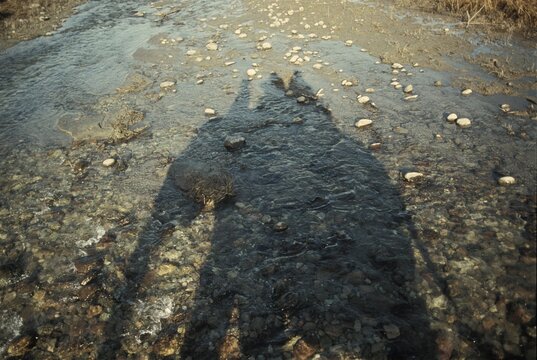 Shadow of riding Elephant in stony river bed, Corbett National park, North India