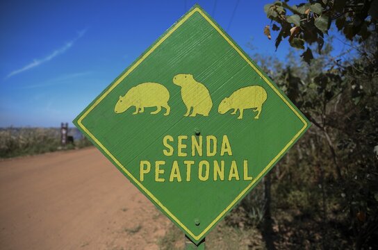 Sign Beware of Capybaras (Hydrochoerus hydrochaeris), Colonia Carlos Pellegrini, Esteros del Iber&aacute;, Province of Corrientes, Argentina