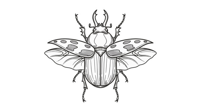 Detailed black and white line art illustration of a stag beetle with open wings and spotted elytra, featuring prominent mandibles and symmetrical anatomical details on white background.