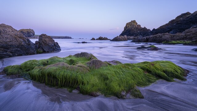 Rocks in Kynance Cove. Evening, blue hour. Long exposure. Kynance Cove, Lizard Peninsula, Cornwall, England, Great Britain